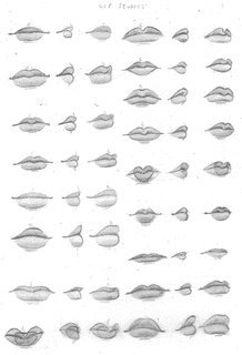 LIPSの画像