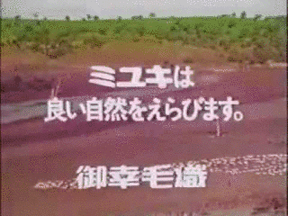 ミユキ野球教室の画像