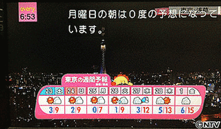 サンデープレゼントの画像