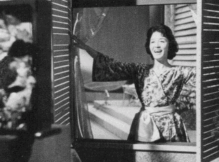光子の窓の画像