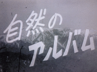 自然のアルバムの画像