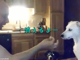 おとうさんの手品の画像