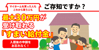 日本テレビのミニ番組の画像