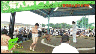 こちらわんぱく放送局の画像