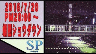 信託水曜劇場の画像