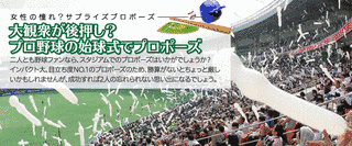 プロ野球ネット裏作戦の画像
