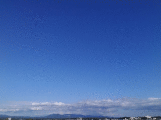 こんにちは!FTVですの画像