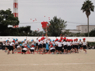 赤かて!白かて!の画像