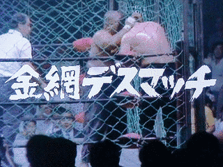 日本のプロレス番組の画像