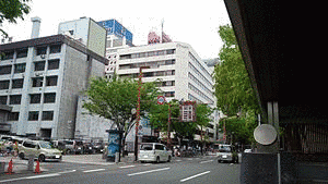 CTV中央競馬実況中継の画像