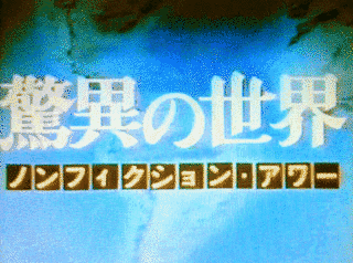 ノンフィクションアワーの画像