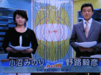 SBSテレビ夕刊の画像