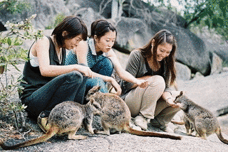 ナブ号の世界動物探検の画像