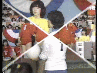 オールスター紅白バレーボール大会の画像