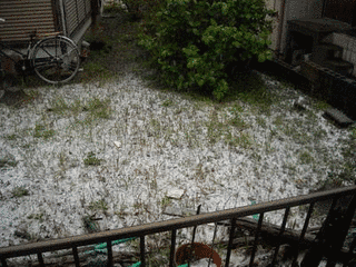 ビックリ大集合!の画像