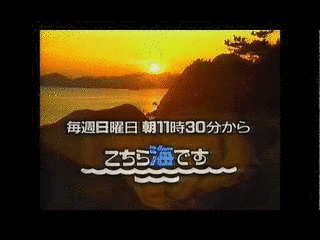こちら海ですの画像