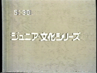 ジュニア文化シリーズの画像