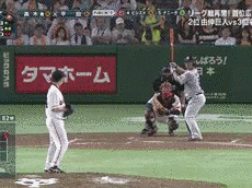 スポーツワイドショー ザ・プロ野球の画像