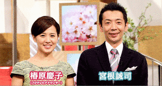 ミスターサンデーの画像