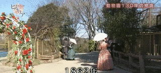 オールスターちょんまげオリンピック!!花の大江戸90分笑いっぱなしの画像