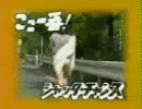 ビックアクションカメラの画像