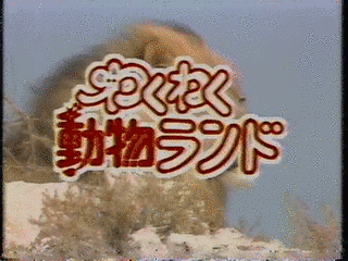 わくわく動物ランドの画像