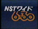 NSTワイド6:00の画像