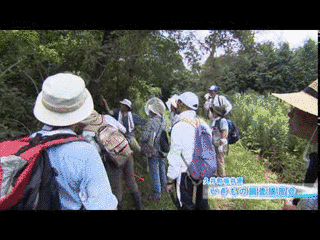 ニュース・ウェーブの画像