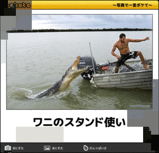 ワニいってんの?の画像