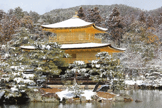 旅ここが知りたい!の画像