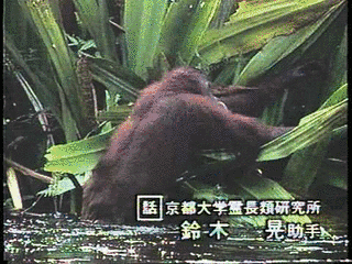 地球ファミリーの画像