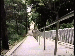 ふるさとZIP探偵団の画像