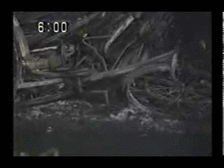 FNN朝駆け第一報!の画像