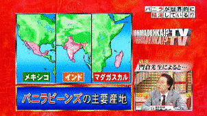 ニョキニョキ植物王国の画像