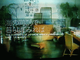 海の向こうで暮らしてみればの画像
