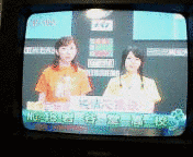 純情応援歌の画像