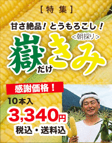 日本文化ふるさと便の画像