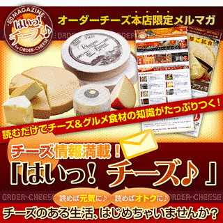はいっチーズ!の画像