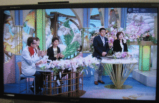 ウラネタ芸能ワイド 週刊えみぃSHOWの画像