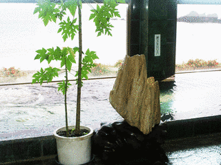阿児温泉の画像