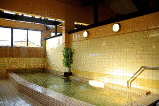 きいながしま古里温泉の画像