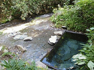 川又温泉の画像
