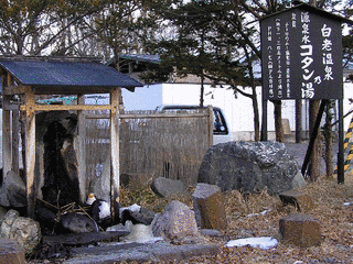 白老温泉の画像