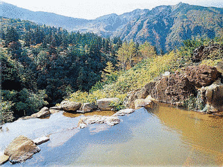 十勝岳温泉の画像