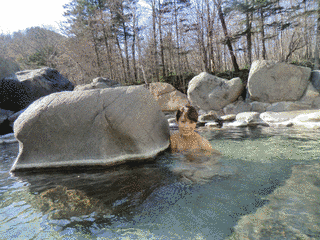芽登温泉の画像