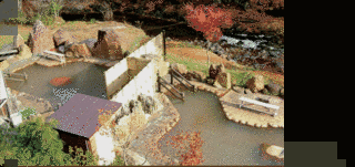 八雲温泉の画像