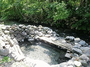 養老牛温泉の画像