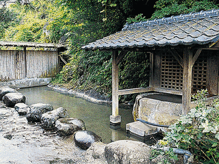宝泉寺温泉の画像