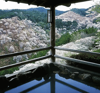 吉野温泉の画像