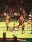 梶原慧の画像